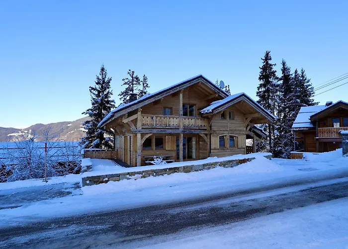 Alpehytte Chaleureux A La Tania - 10 Pers, Parking, Skis Aux Pieds - Fr-1-575-31 *