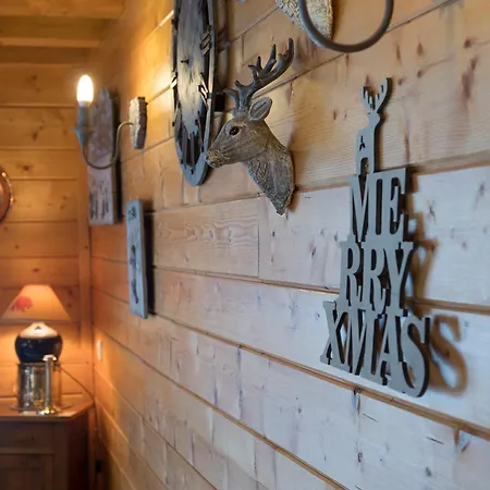 Chaleureux A La Tania - 10 Pers, Parking, Skis Aux Pieds - Fr-1-575-31 Chalet