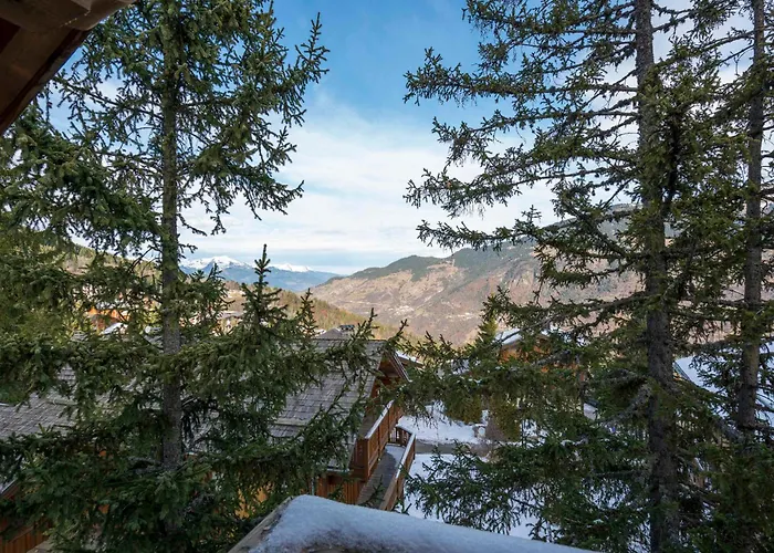 Chaleureux A La Tania - 10 Pers, Parking, Skis Aux Pieds - Fr-1-575-31 شاليه كورشوفيل